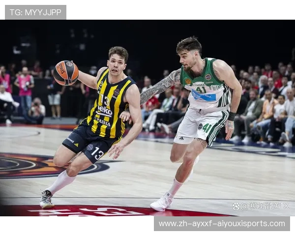 篮球西甲联赛：西甲篮球联赛的历史与未来发展